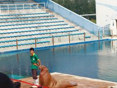 -北戴河圣蓝海洋公园