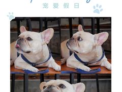 -老味道(田子坊店)