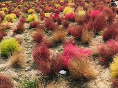 景点-映月湖中央公园