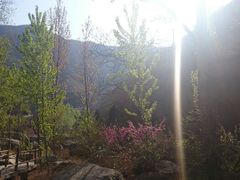 android_upload_pic-灵溪风景区