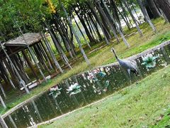 -艾溪湖湿地公园