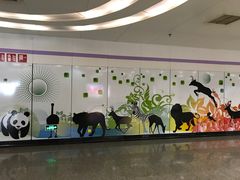 -上海动物园(地铁站)