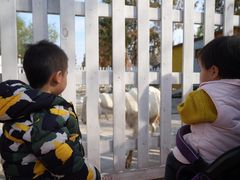 -前小桔亲子创意农场·草莓采摘·露营烧烤