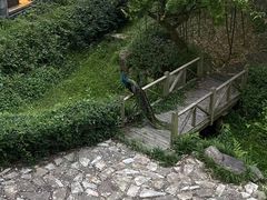 -苏州环秀晓筑养生度假村
