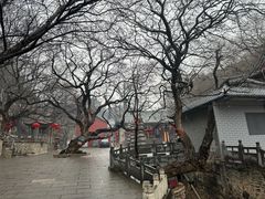 -青檀寺景区