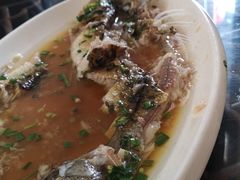 -呼吸森林·生态农庄农家乐私房菜