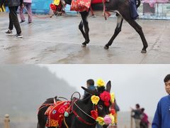 -陕西黄河壶口瀑布旅游区