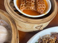 -添运来(茶园奥园广场店)