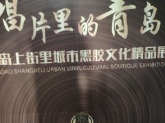 -树懒黑胶唱片店(中山路店)