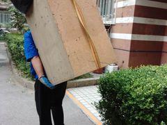 -和平搬家公司