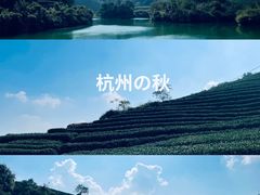 -龙坞茶村