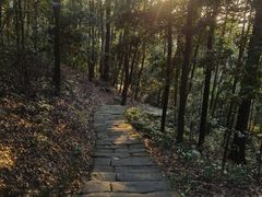 -缙云山景区