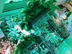 -满汉楼(江畔店)