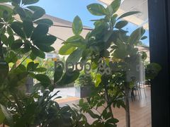 -gaga(深圳南山益田假日广场店)