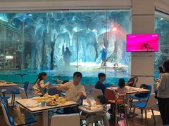 -帝企鹅自助餐厅•儿童岛•真企鹅(长隆企鹅酒店)