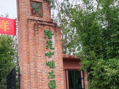 -兴隆隆苑咖啡庄园