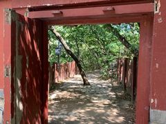 -阳台山自然风景区