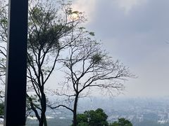 -广州市白云山风景名胜区