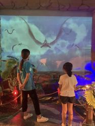 -恐龙探索乐园(磁器口店)