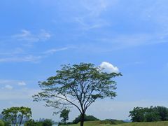 -盘龙城国家考古遗址公园