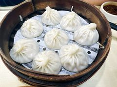 -莱莱小笼·乔艾