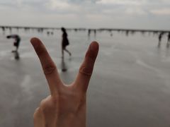 -奉贤海滩