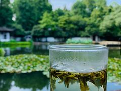 -郭庄茶室