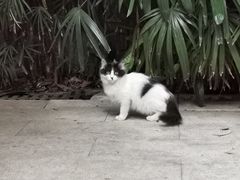 -烟桥私房菜馆(奋哥)