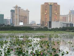 -龙环葡韵住宅式博物馆