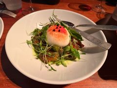 布拉达芝士色拉-上海柏悦酒店·世纪100牛排馆