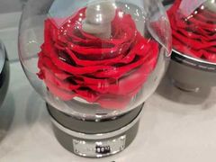 -ROSEONLY诺誓(广州K11店)