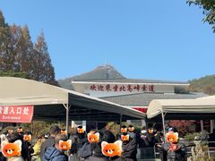 -灵顺寺