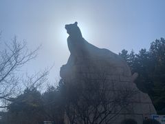 -帽儿山国家森林公园