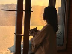 -猫的茶·猫咖