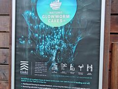 -怀托摩萤火虫洞