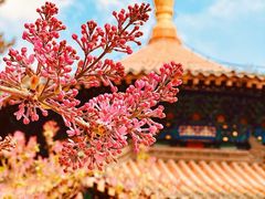 -潭柘寺景区