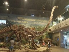 -自贡恐龙博物馆