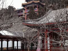 -宫事颐庭·老佛爷贵寿下午茶(颐和园店)