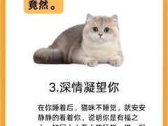 -立德24H动物医院·夜诊·转诊中心·1.5T核磁共振(海珠店)