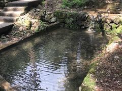 -东天目山风景区