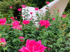 -人民公园(罗湖区)