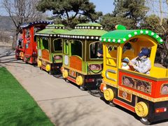 -北京西山国家森林公园