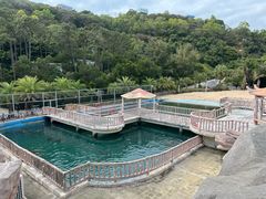 -广东惠东海龟国家级自然保护区