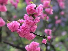 -香山公园-东宫门售票处