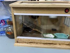 -东莞宠友24H宠物中心医院·转诊夜诊·异宠(新河北路院)