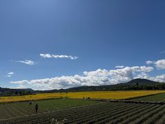 -腾冲和顺柏联酒店