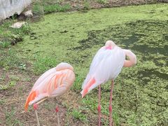 -沈阳森林动物园