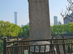-团结湖公园