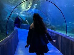 -左海海底世界