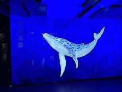 -浙江自然博物院(杭州馆)